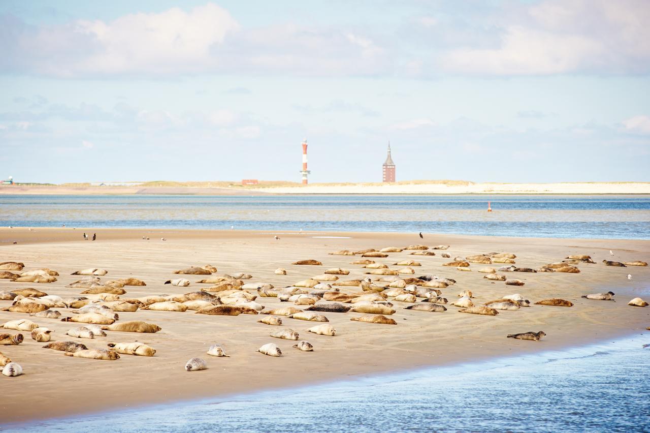 Jugendherberge Wangerooge Wangerooge Island ภายนอก รูปภาพ